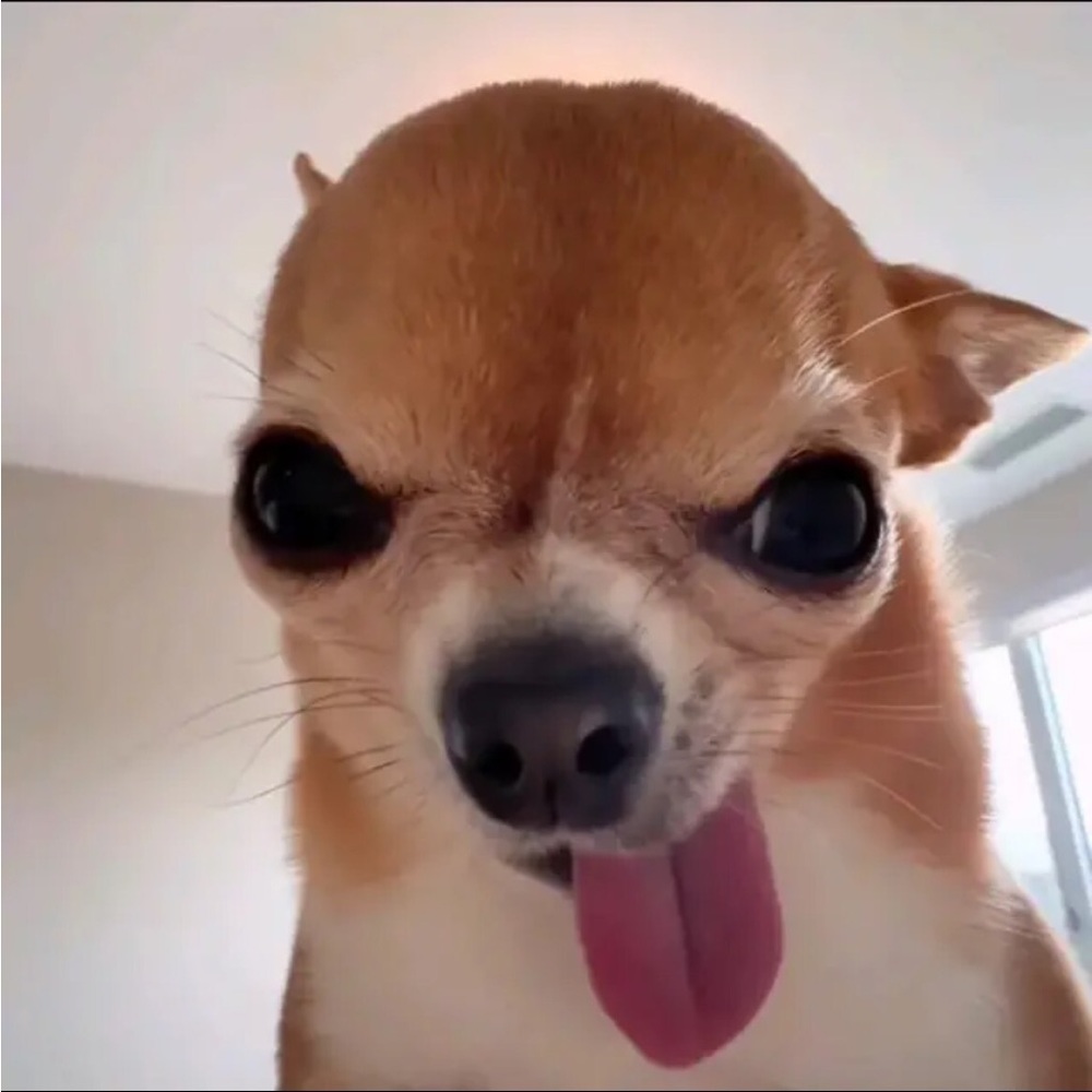 Meet your Posher, Ariel